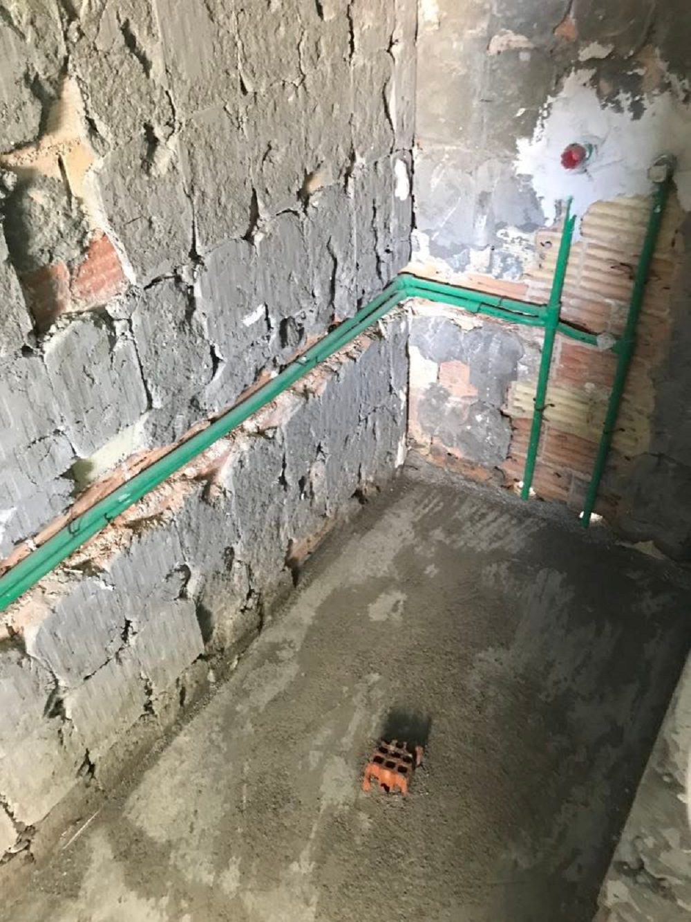 257604638_178787914466388_5693092123535999826_n