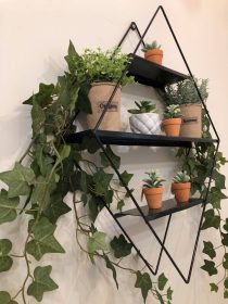 200358327_489554552127196_1607076274737788200_n