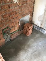 257717347_1289768531471495_1339190742820995614_n