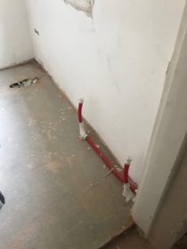 61799882_360171821305367_4750307080043233280_n