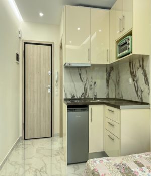 image00009_1400x1900