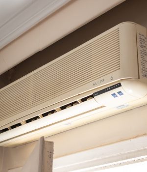 prin (17 of 105)_11zon