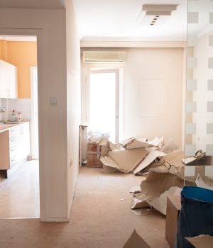 prin (7 of 105)_11zon