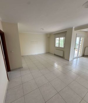 viber_image_2024-06-07_16-04-13-305