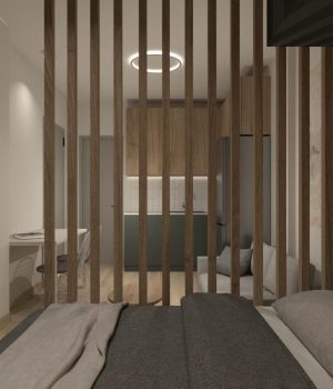 ΚΥΠΡΟΥ (ΔΥΟ ΔΙΑΜΕΡΙΣΜΑΤΑ)_3D PR 21.12.24_29_001